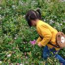 手机用户2729_e6rp