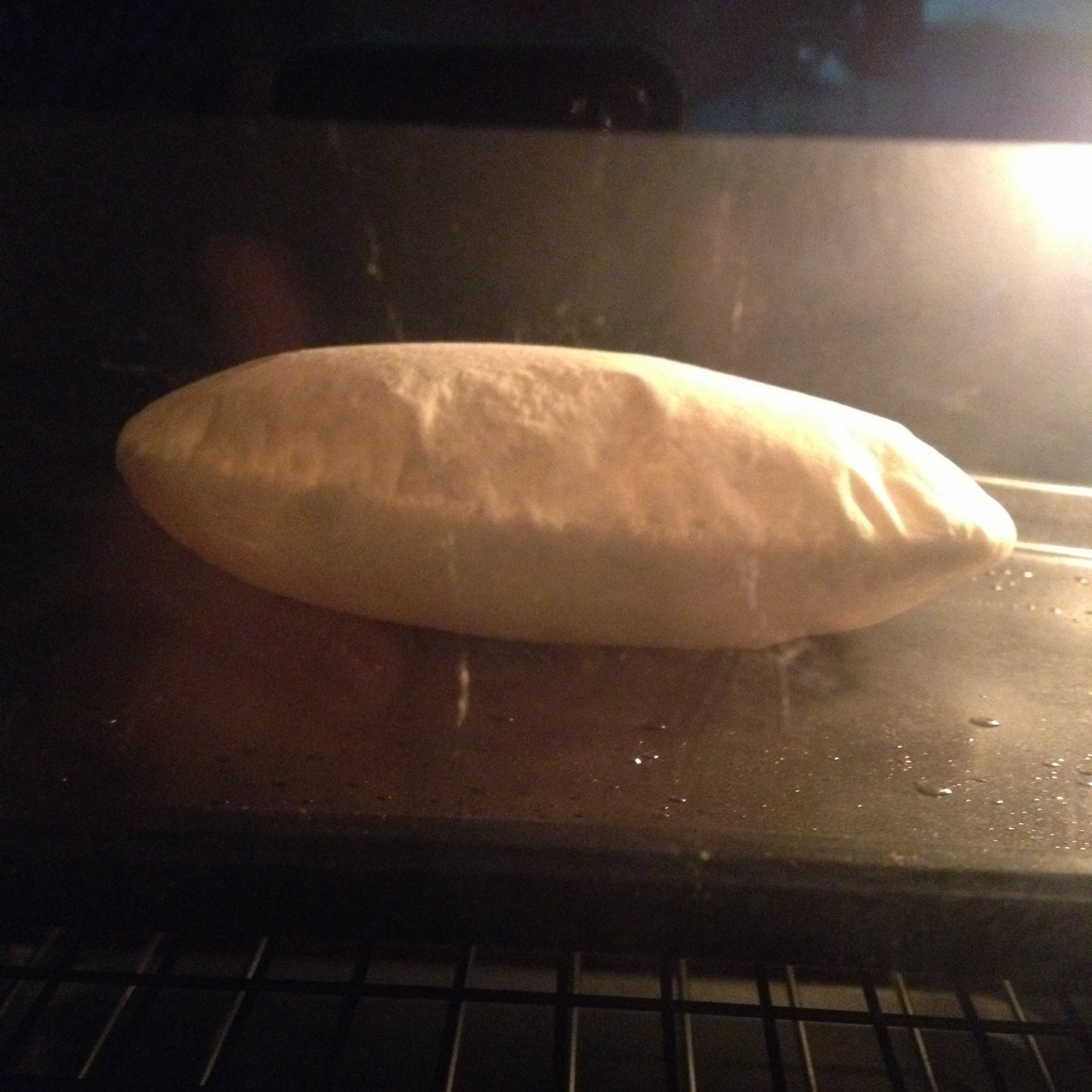 皮塔饼