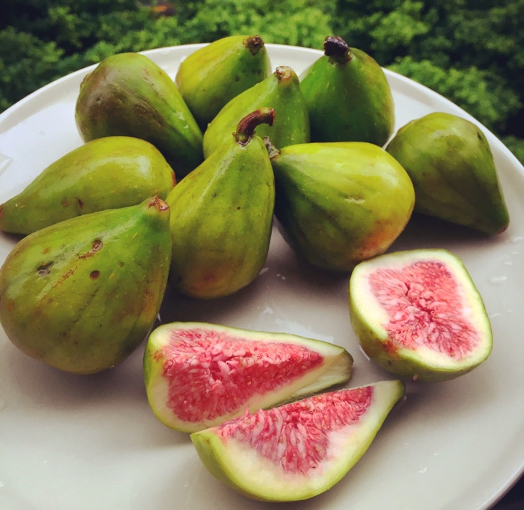 美极桂虾(以及给你做饭的那些日子里的碎碎念)