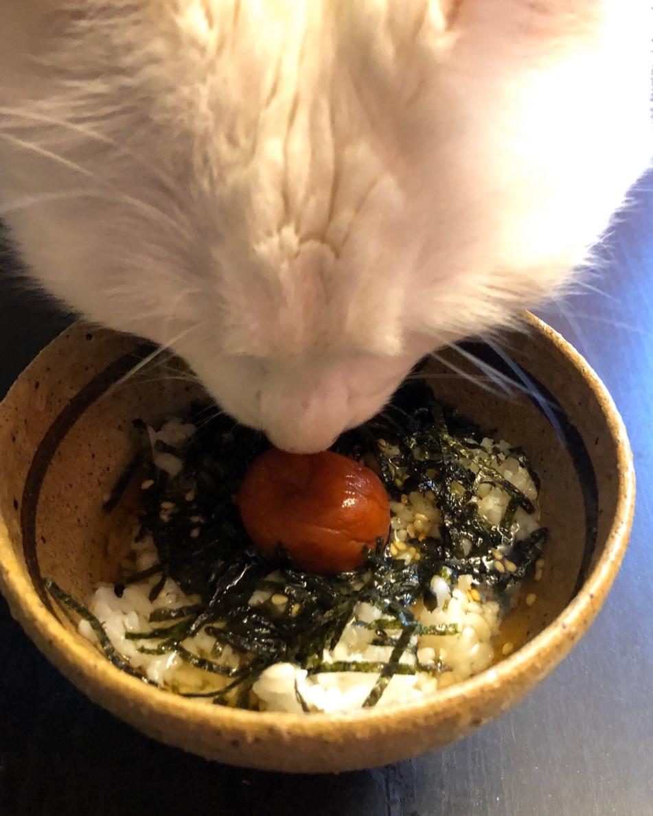梅子茶泡饭