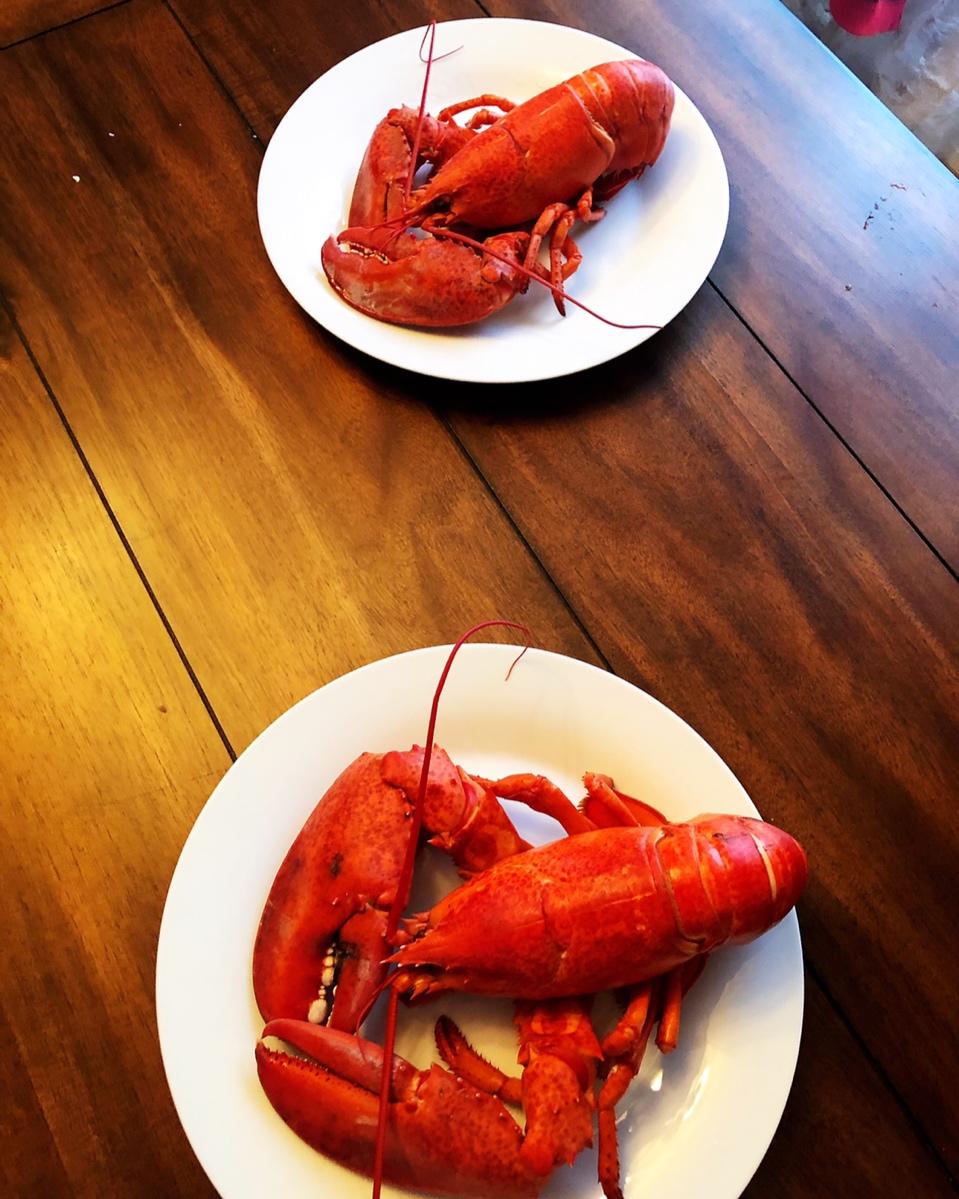 蒸龙虾🦞