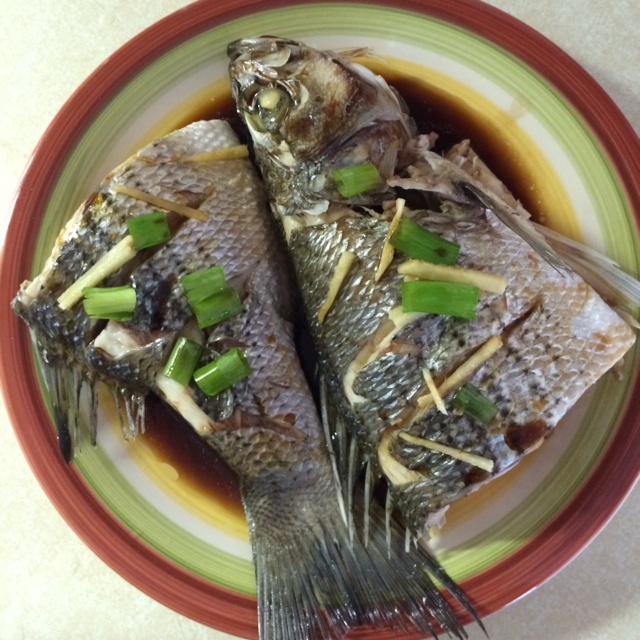 清蒸鲈鱼
