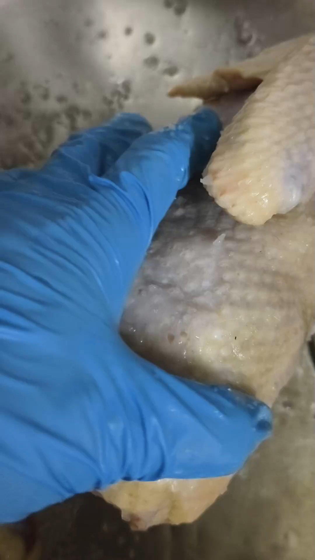 电饭锅盐焗鸡的做法 步骤3