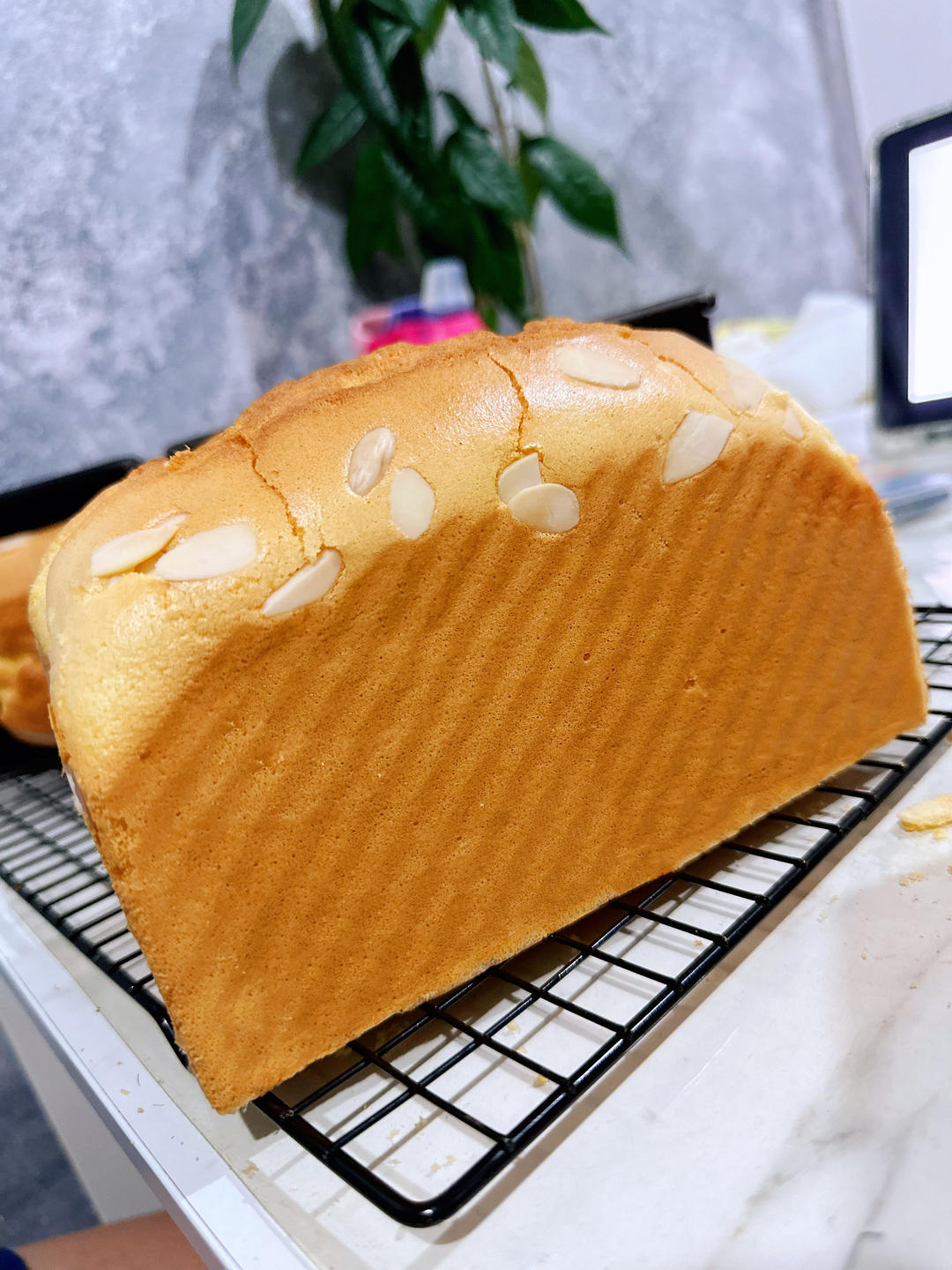 🔥爆蛋糕店的【金枕蛋糕】✔️轻松在家自制