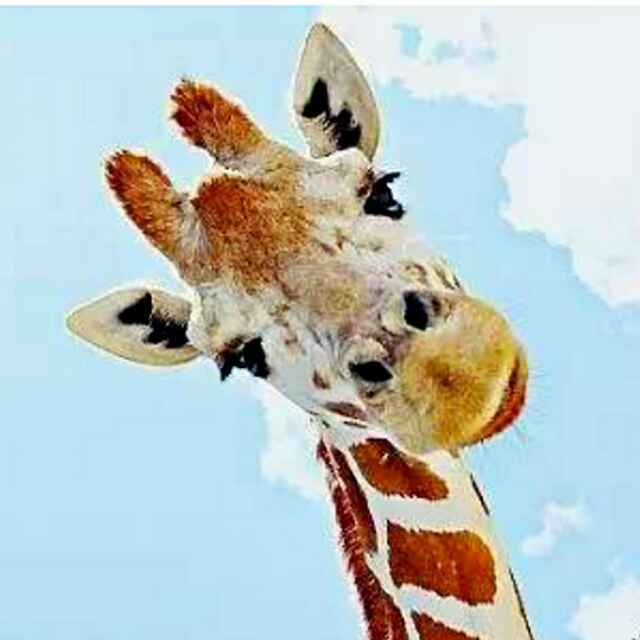 手机用户9910_pdse