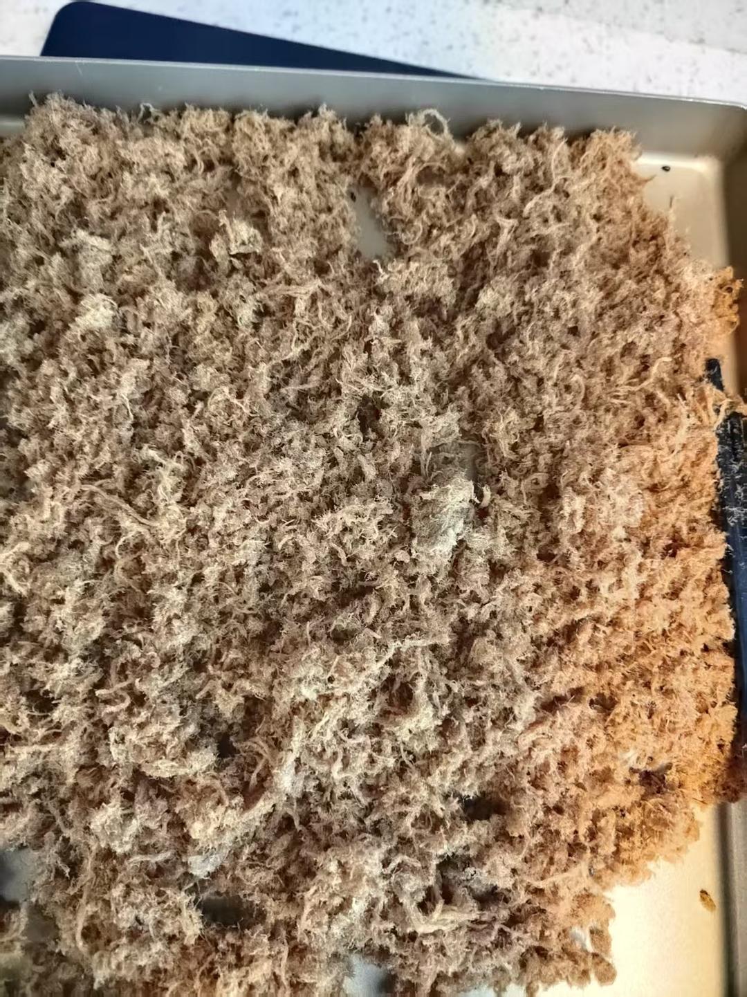 自制儿童肉松（松下P1000面包机版）