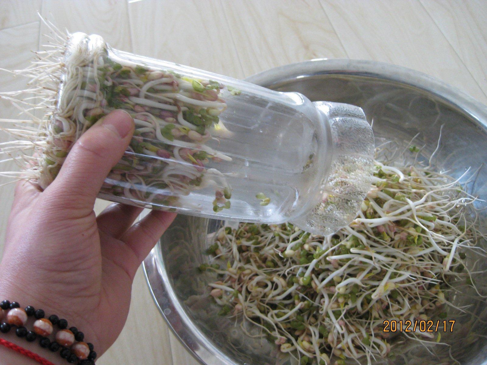 生绿豆芽的做法