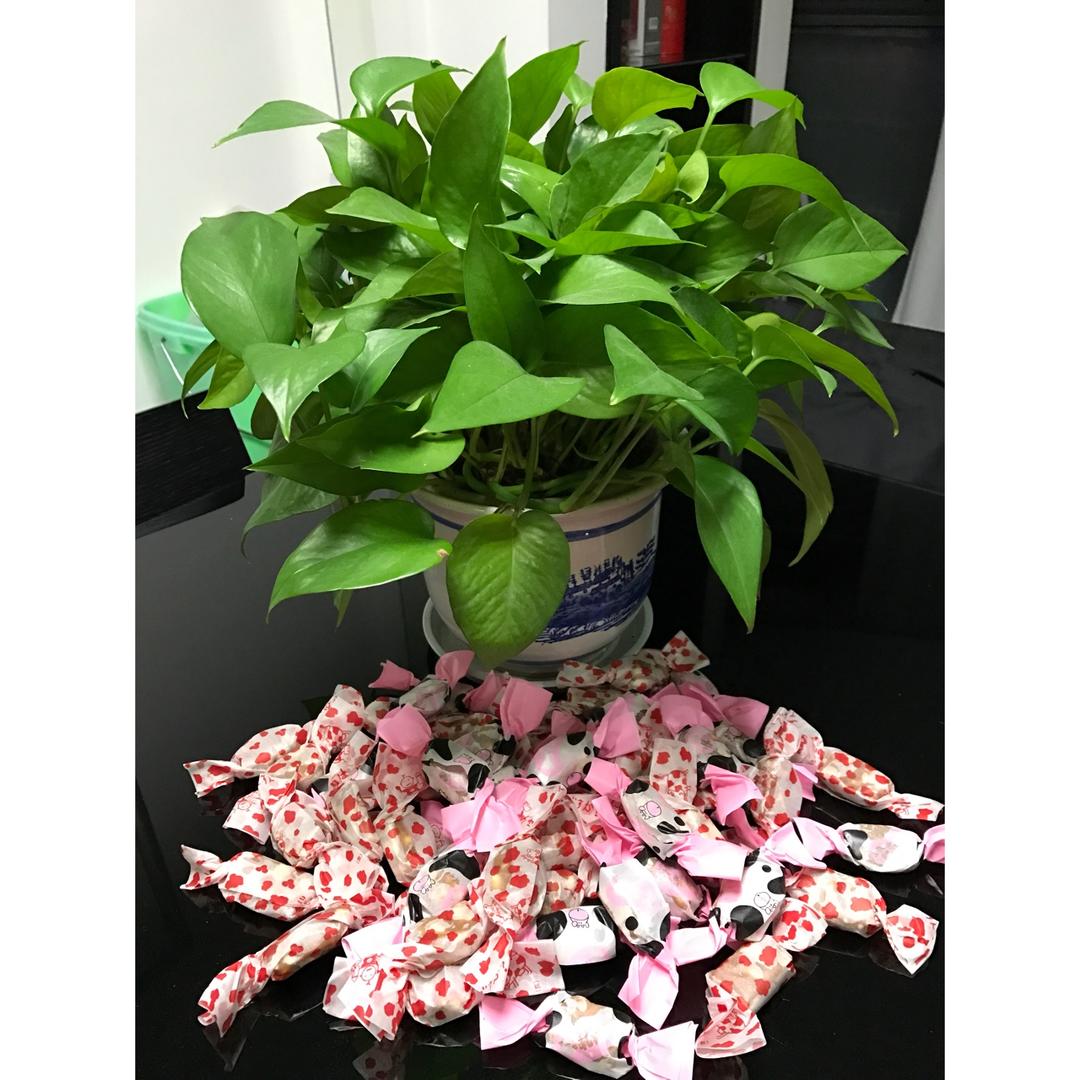 比牛轧糖还要好吃的花生太妃糖（消耗淡奶油）
