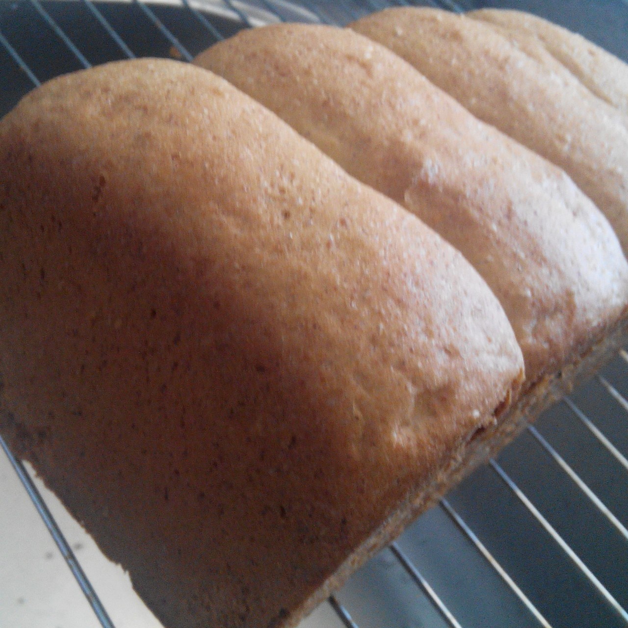 浓浓的奶香【100%冰种醇奶吐司】