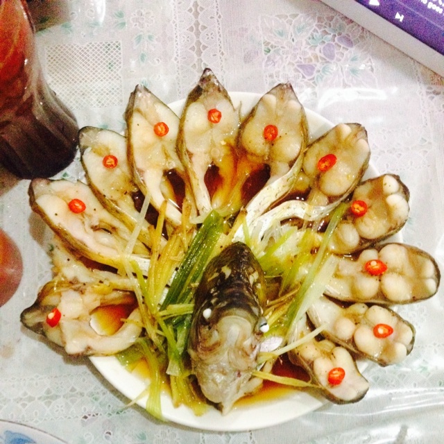 孔雀开屏鱼