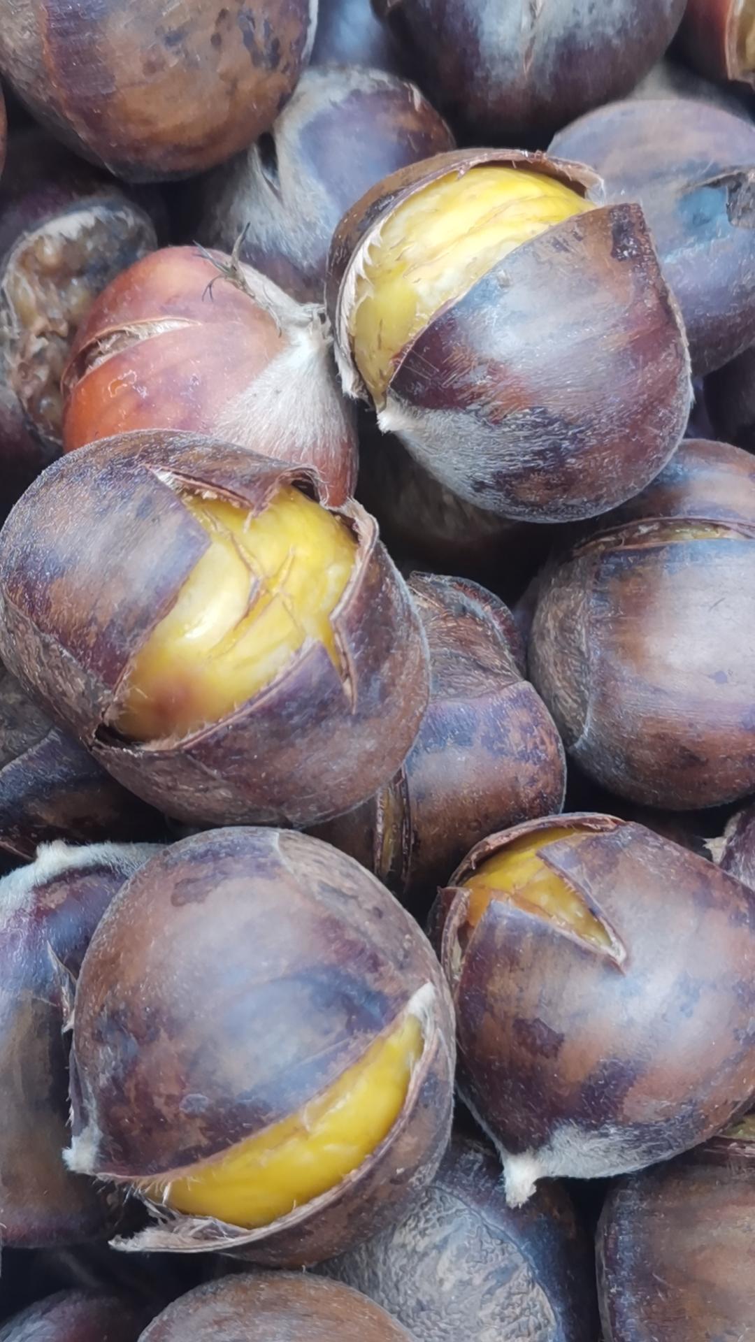 简单三步！让你吃到比街上买的糖炒板栗还好吃的糯🌰！