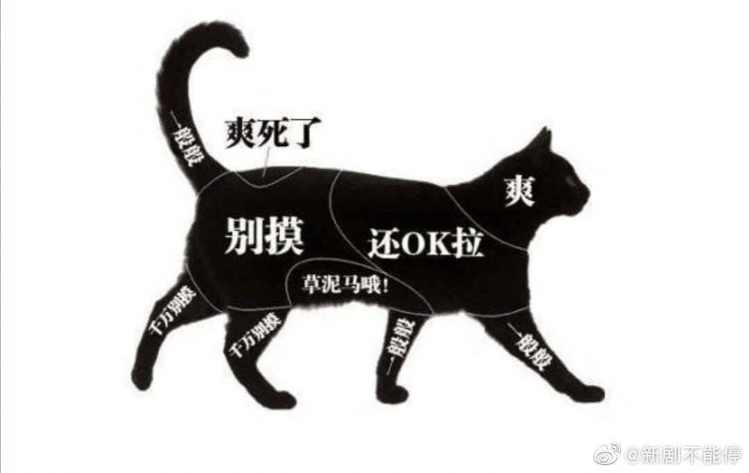 麻糬包 （20g一粒）的做法