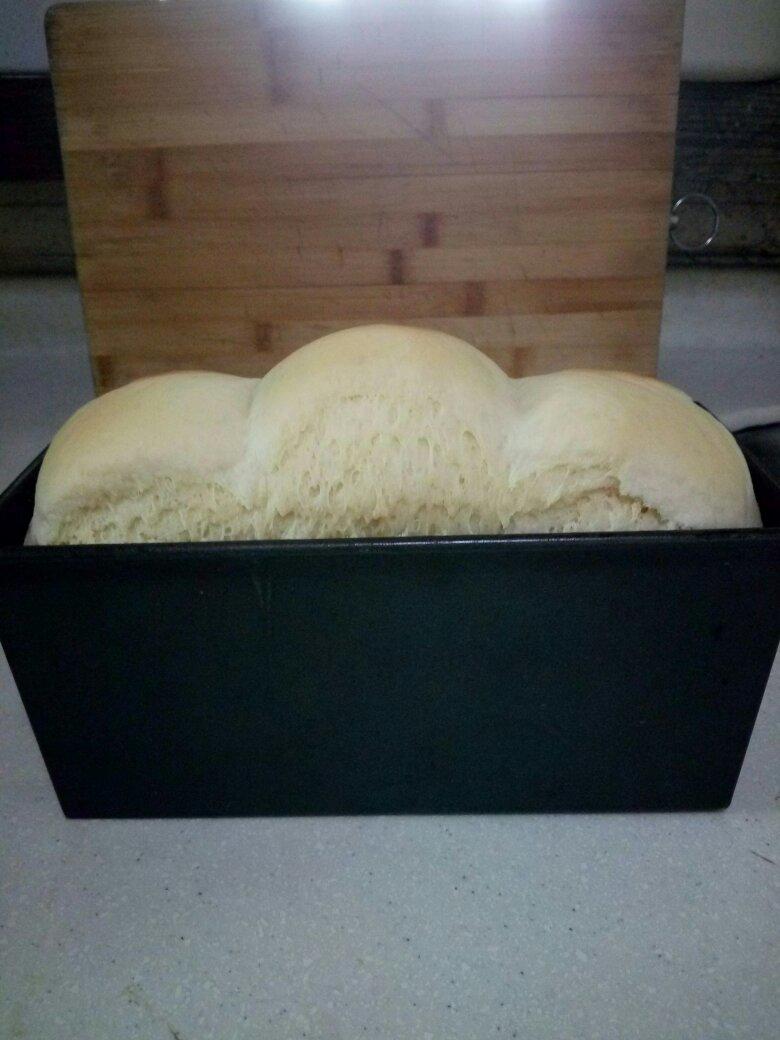 夺命软吐司(๑´ڡ`๑)超软拉丝极速方便的一次发酵吐司