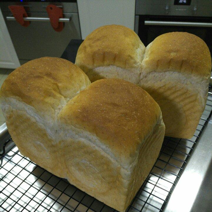 全麦吐司～17小时冷藏中种