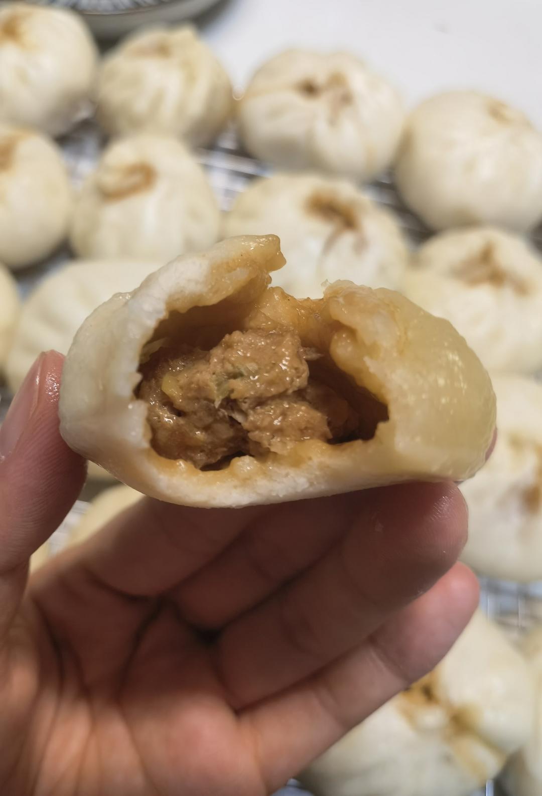 宋祁人老师的肉包子方子