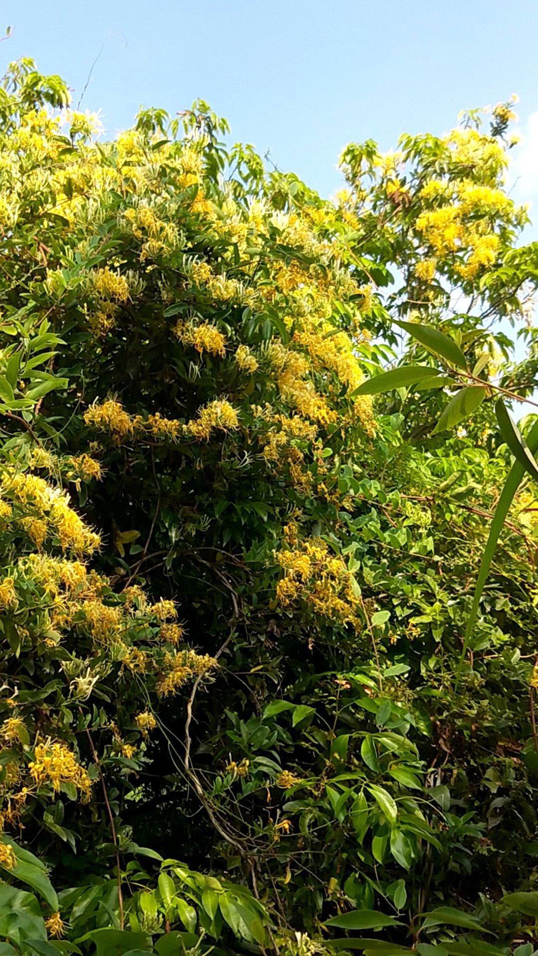 家常菜篇