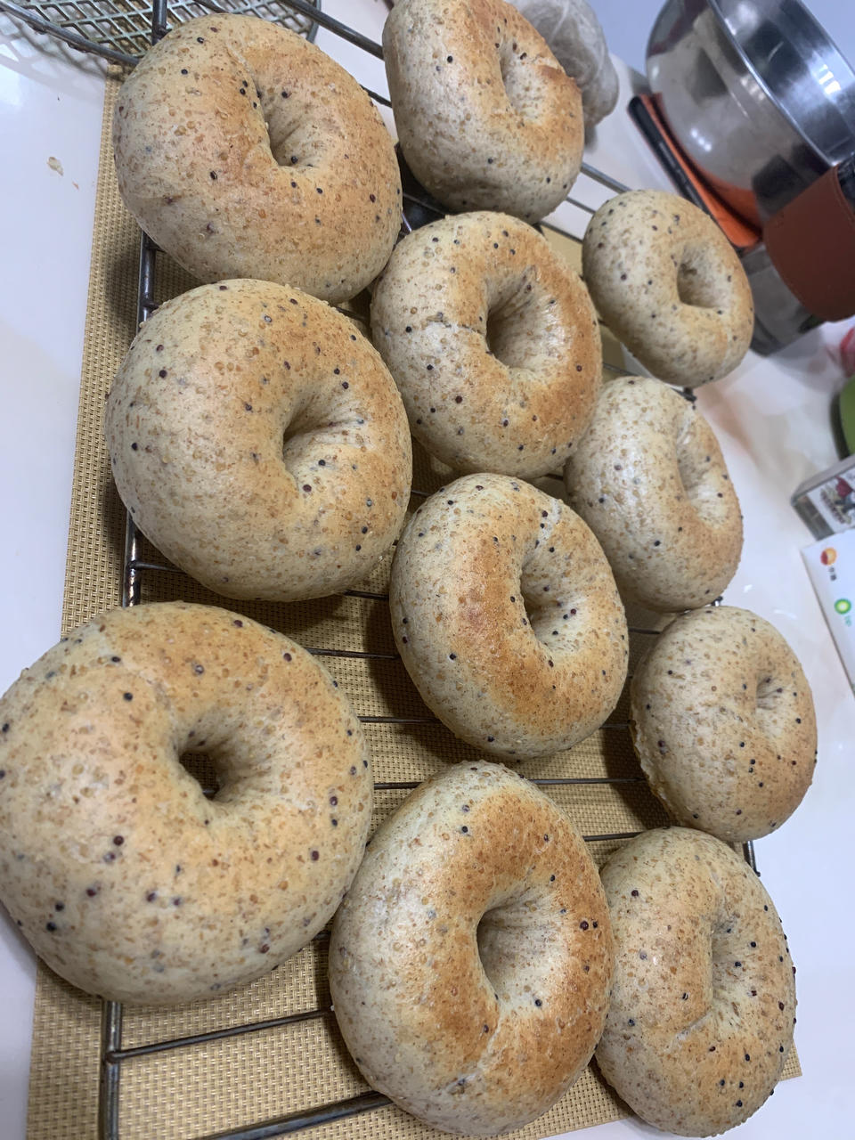 （波兰种）贝果