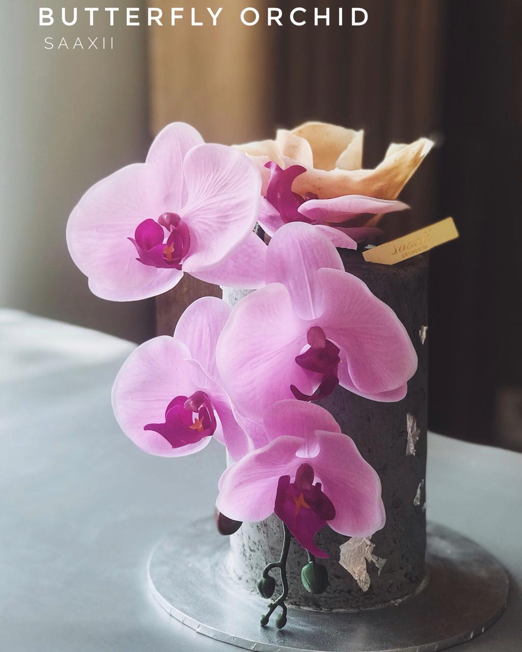 小山进杏仁蛋糕