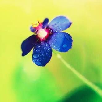 正能量的白羊座