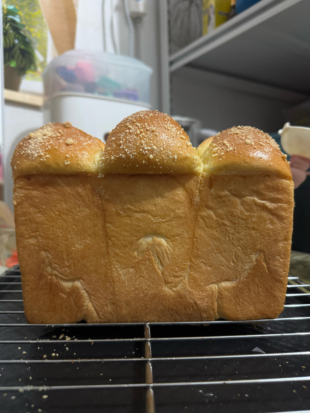 榴莲乳酪吐司｜榴莲脑袋最爱