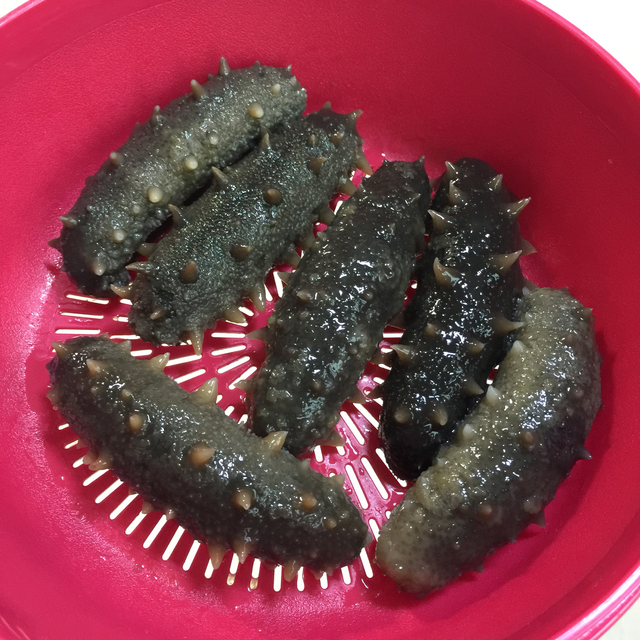 海参泡发攻略