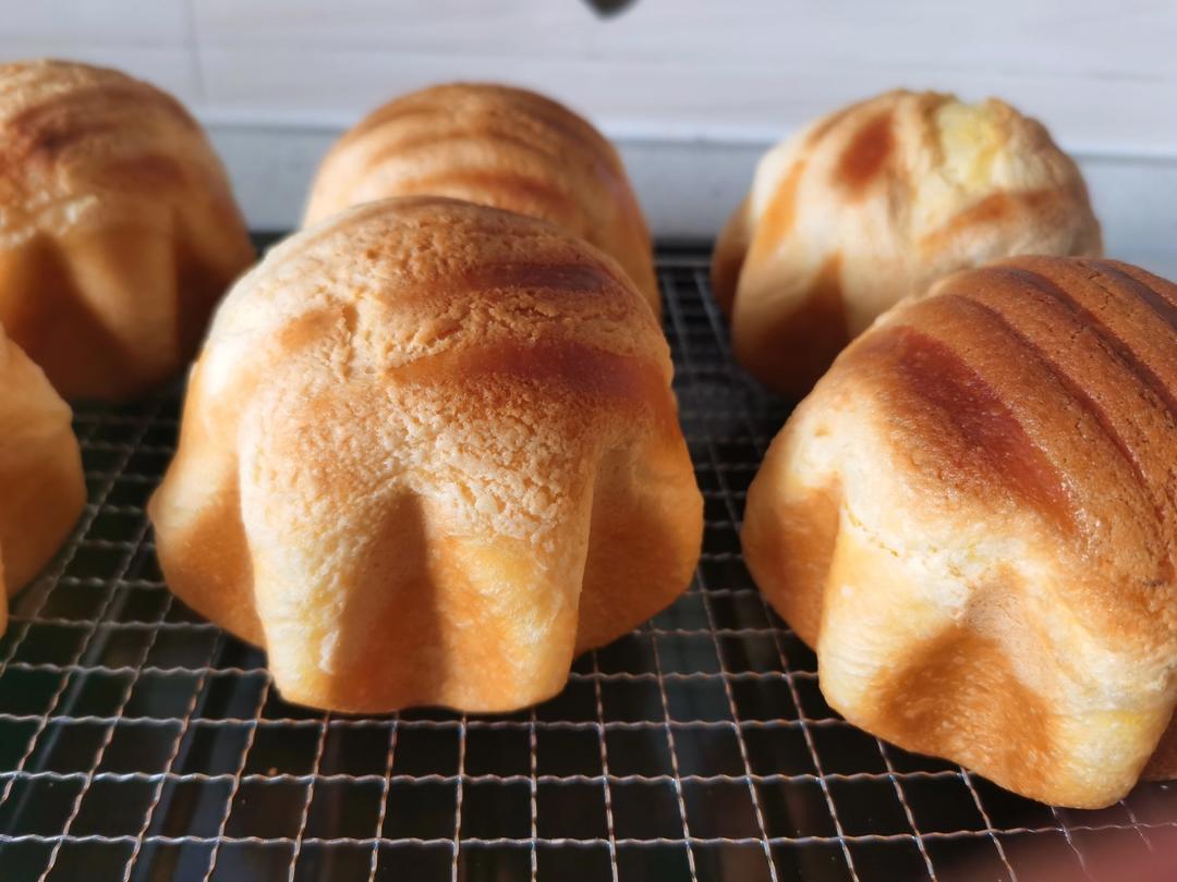 一波长了角的巨蛋面包