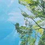 熊猫就是panda-qi