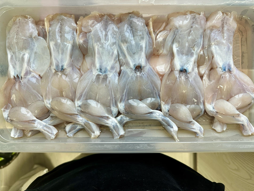 哥老官本官|牛蛙火锅可能是家庭火锅的天花板了