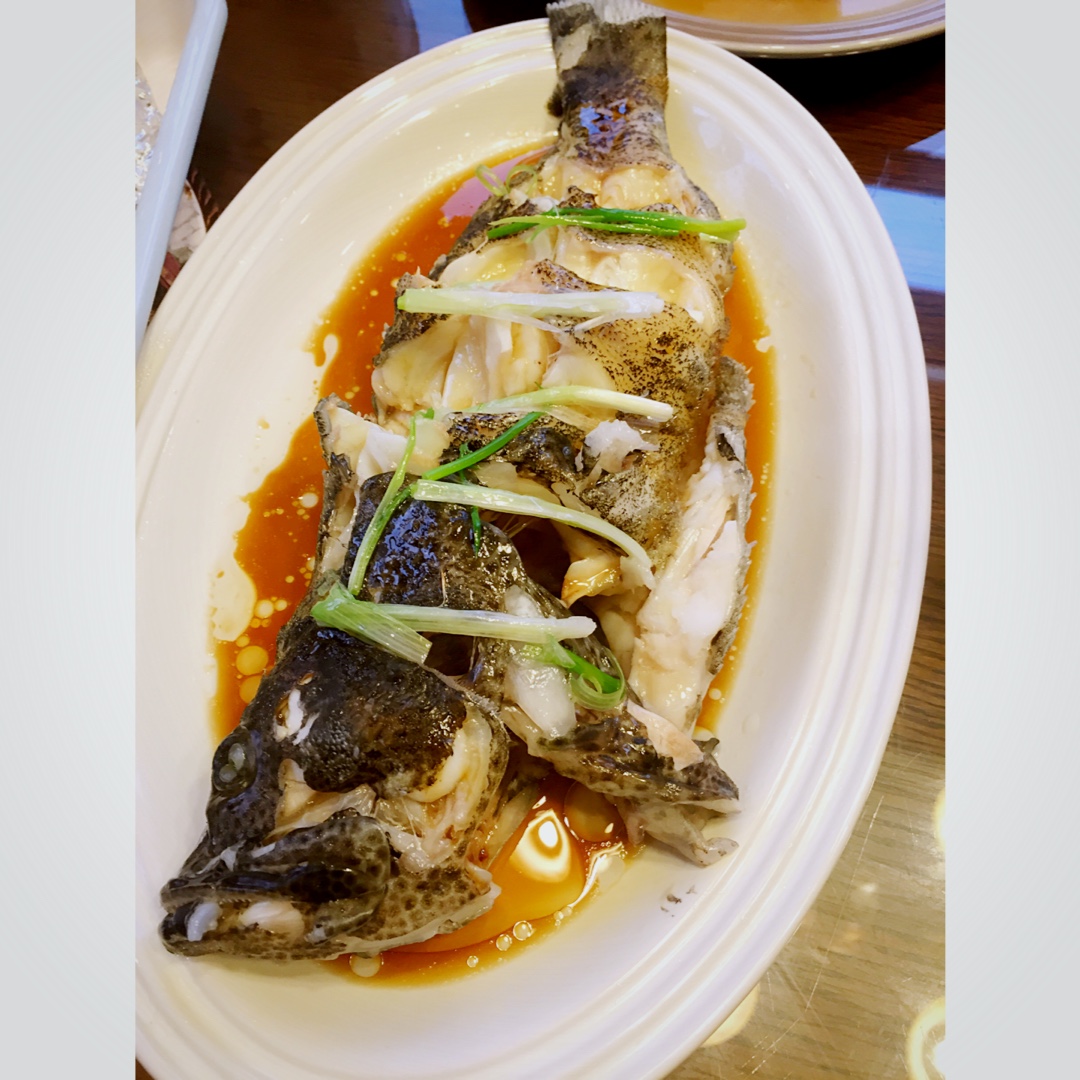 nana小姐呀做的清蒸老虎斑清蒸老虎斑蒸首页登录注册作品动态菜单查看