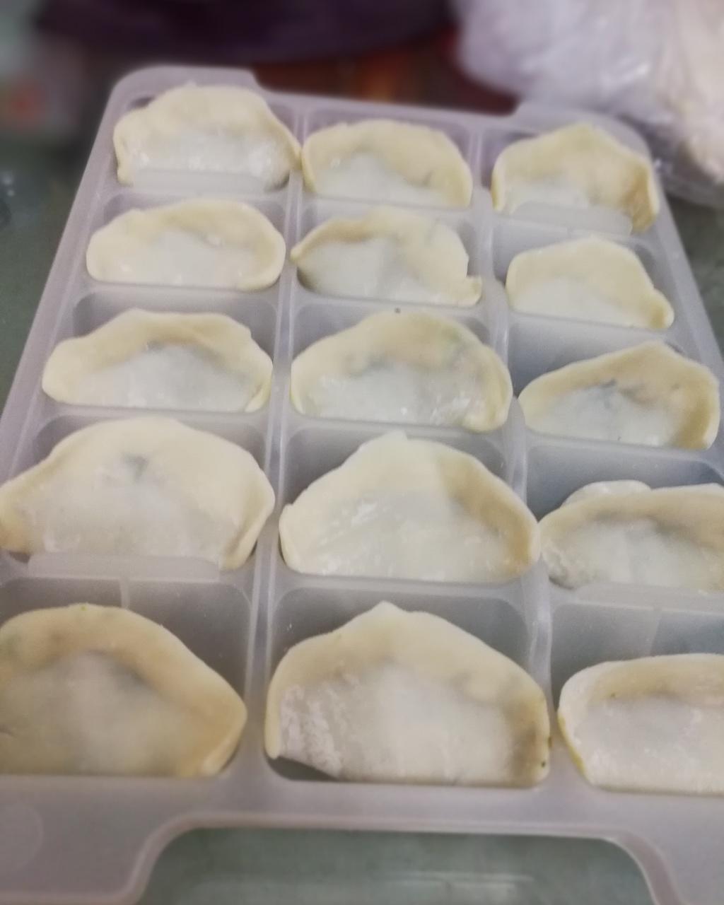 荠菜鲜肉饺子