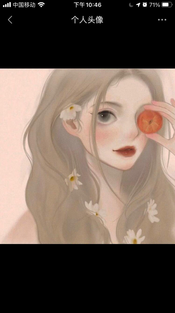 灯芯z