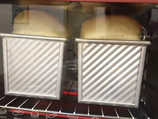 波兰酵头酸奶吐司（橄榄油版）