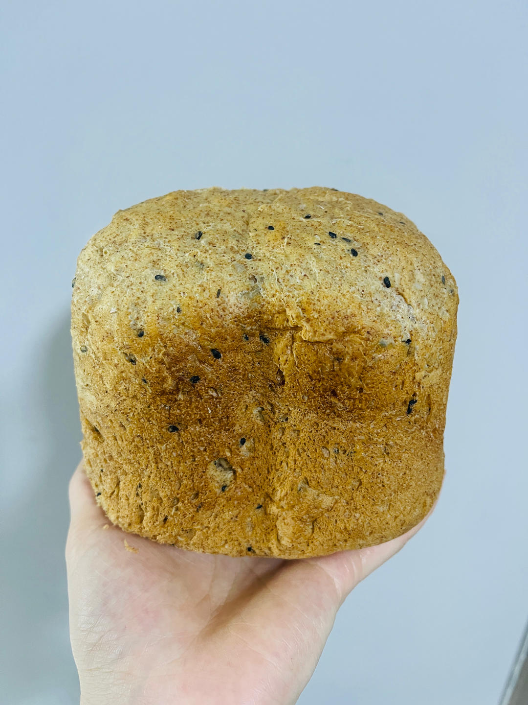 💯软到能下腰的无糖低油全麦吐司｜东菱面包机版