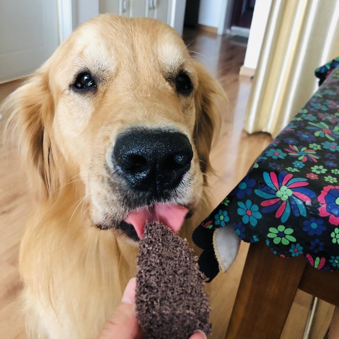 杂粮糕~蒸的不上火