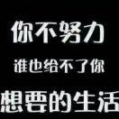 真哥小婷子