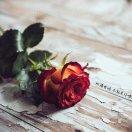 手机用户7046_oucg