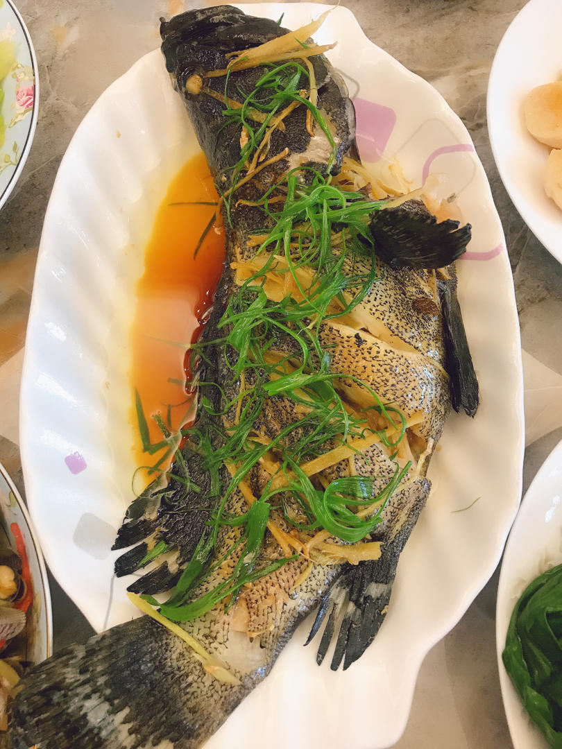 清蒸花斑鱼（多宝鱼、海鲈鱼等）超嫩滑鲜美，零失败，厨房小白秒变大厨。