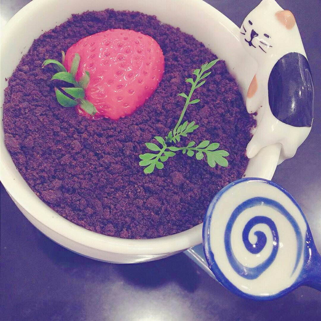 奥利奥酸奶盆栽
