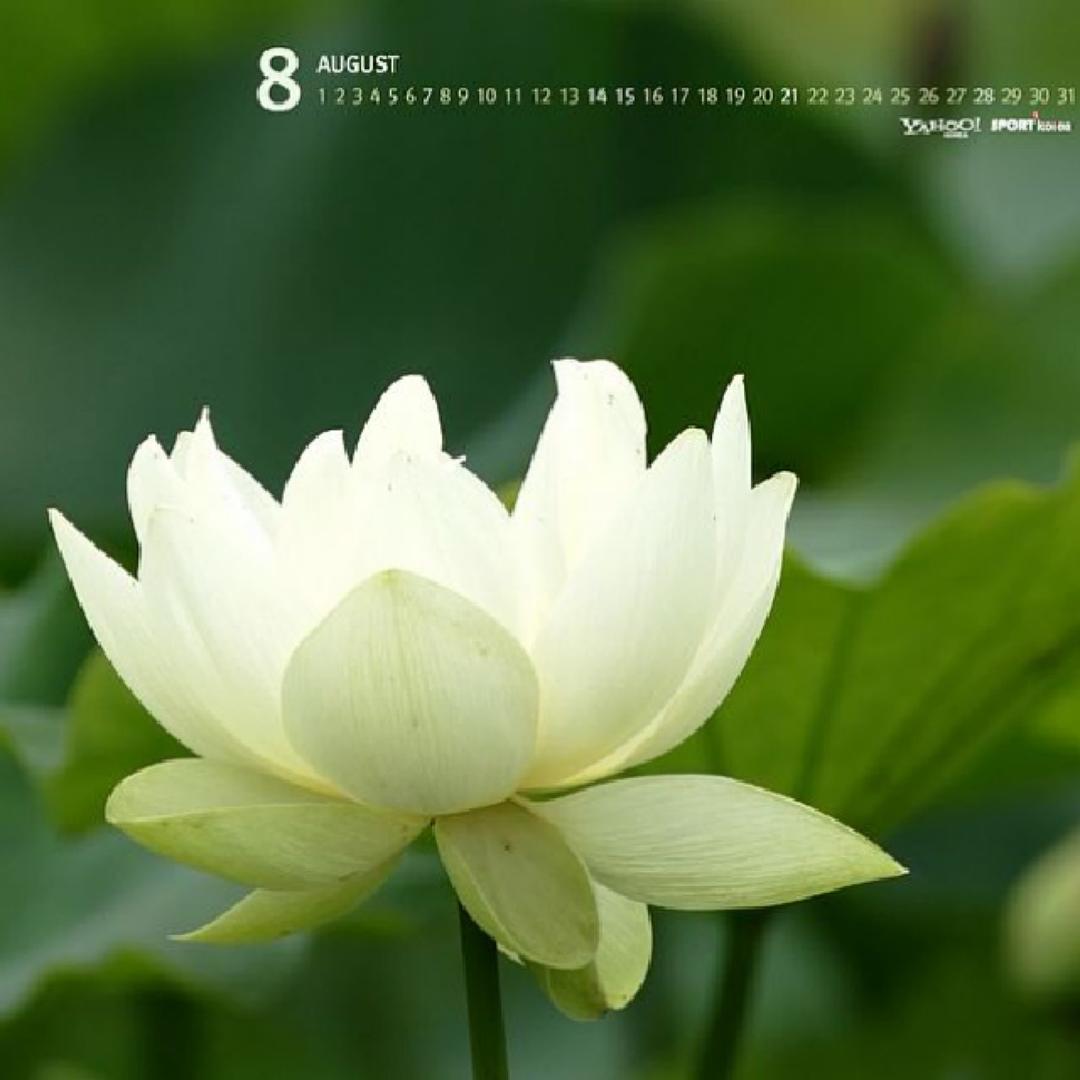 手机用户7685_7q0w