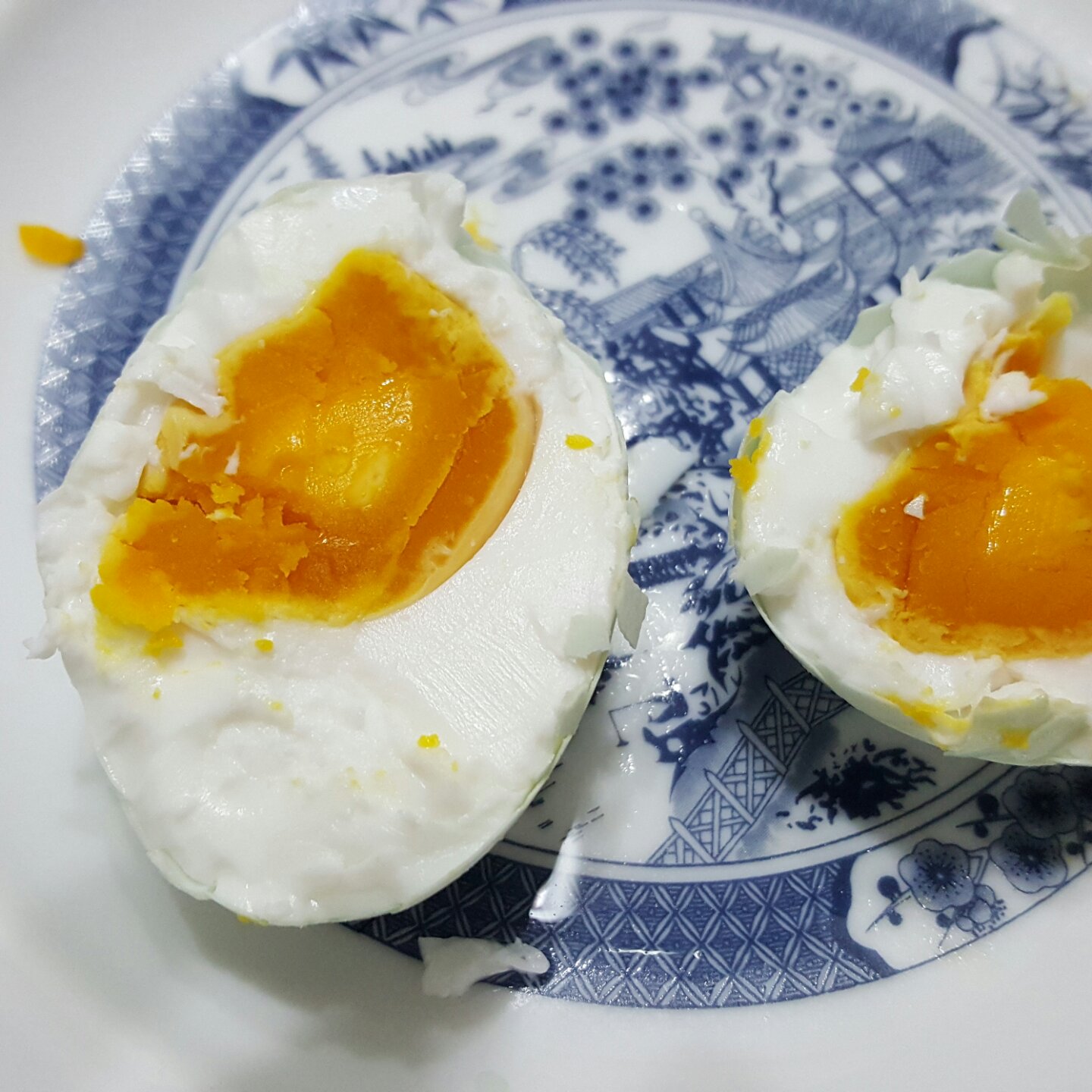 跌入坑里的小白马