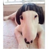 vivi的烘焙小时光