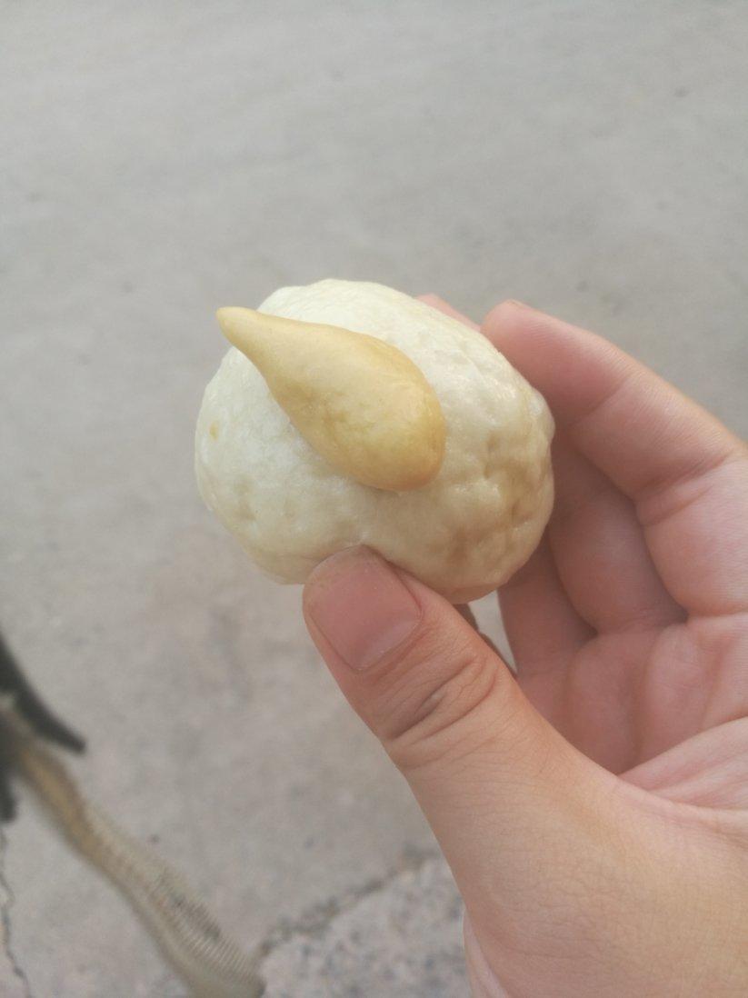 萌萌胡萝卜馒头