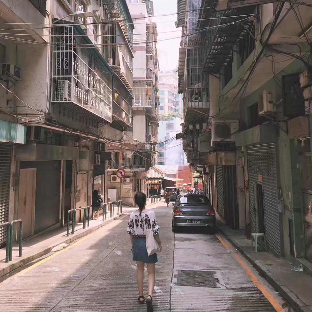 萌萌大菟