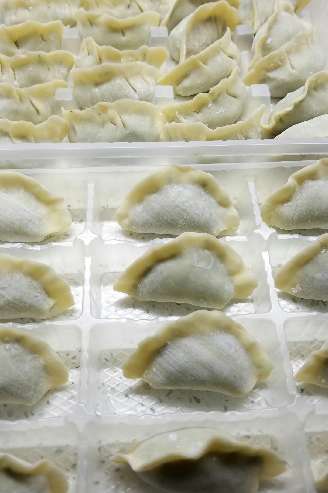 猪肉茴香饺子