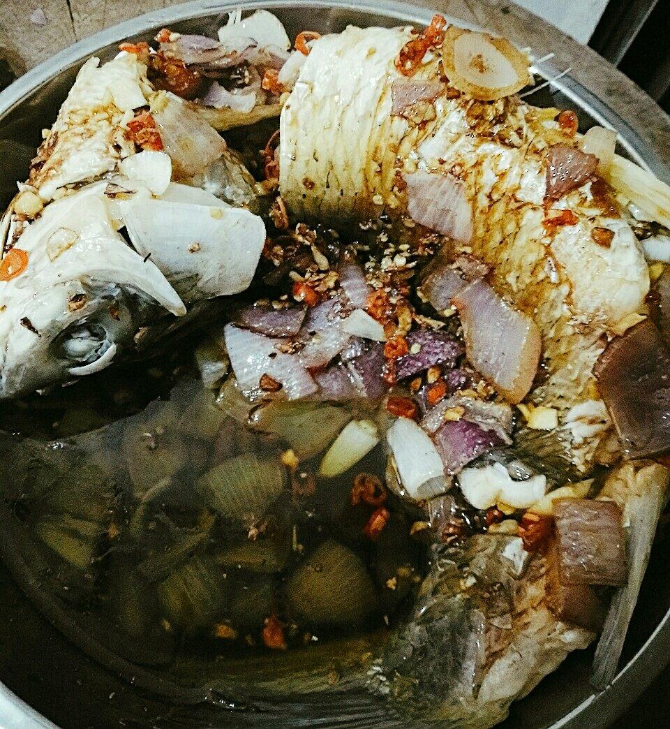 跳水鱼【好这口儿】