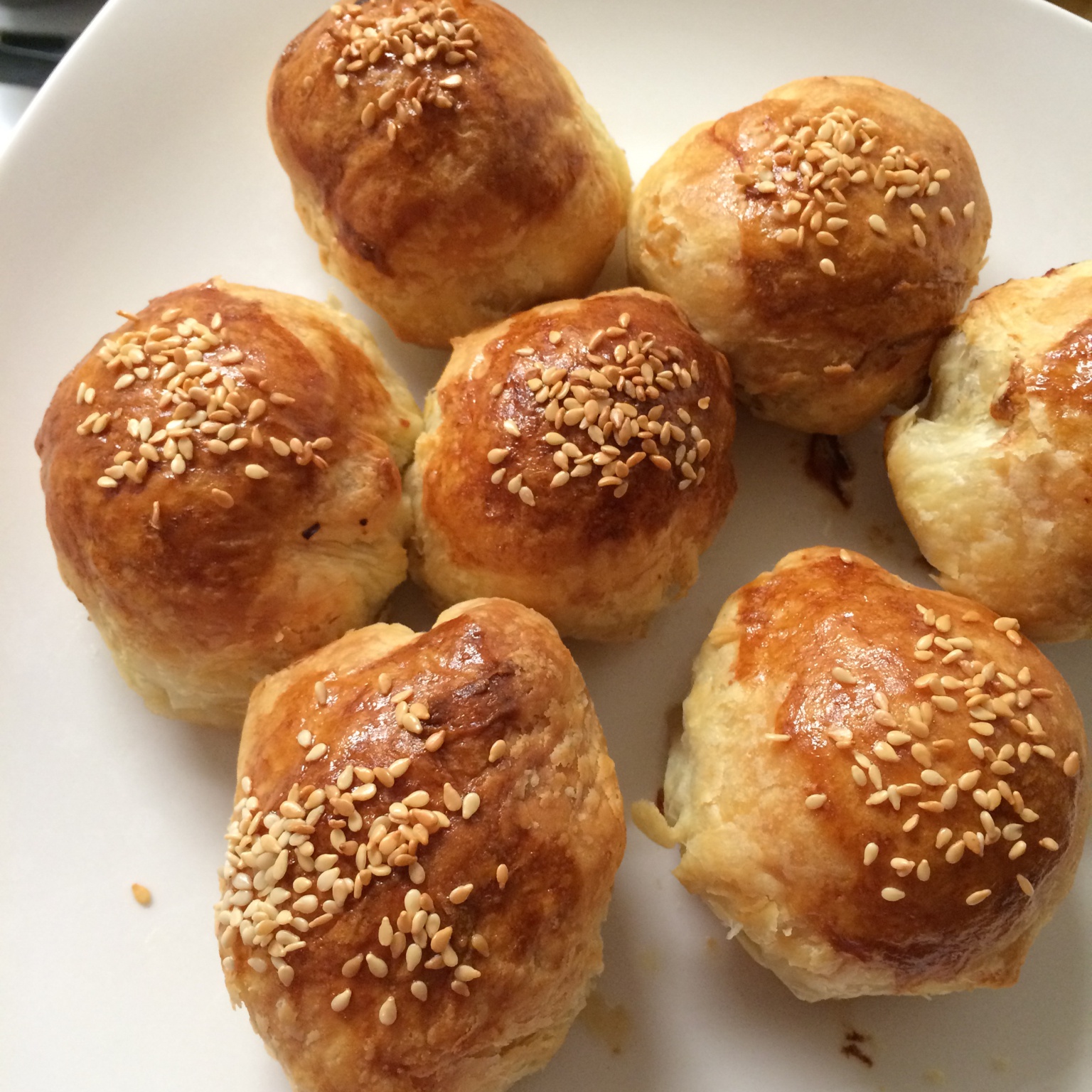 泳式鲜肉榨菜月饼