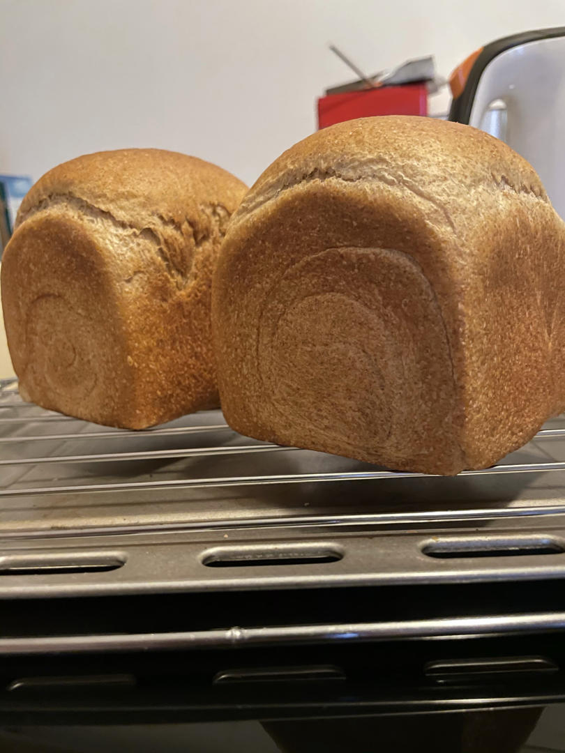 手揉全麦吐司🍞（轻松到哭泣的💧水合法）