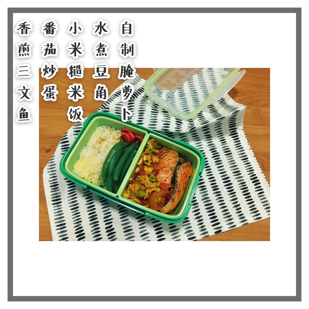 一日食