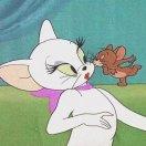 一个烘焙初心者