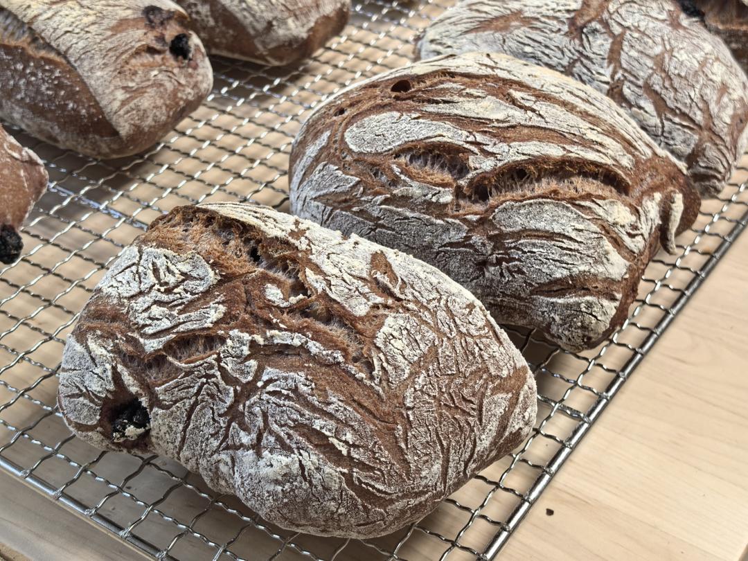 万物皆可恰巴塔